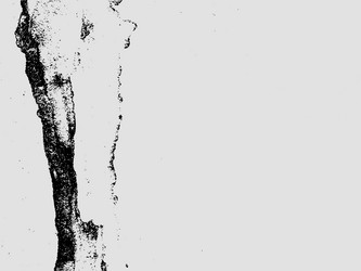 Similar image 1300486