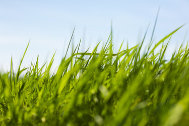 Similar image 1300599