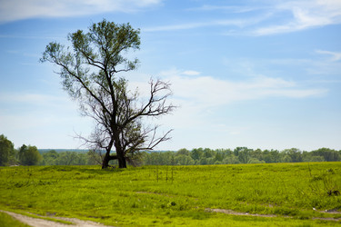 Similar image 1300600