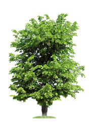 Similar image 1300610