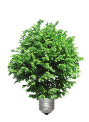 Similar image 1300611