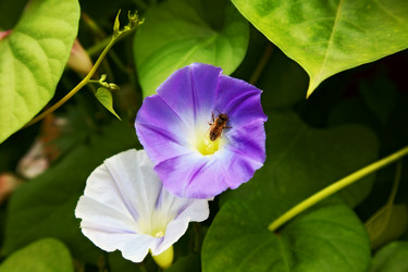 Similar image 1300630