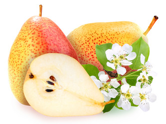 Similar image 1300637