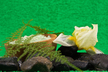 Similar image 1300660