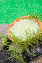 Similar image 1300663