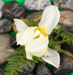 Similar image 1300664