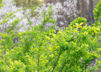 Similar image 1300693