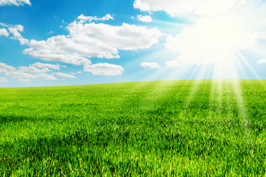 Similar image 1300724