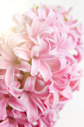 Similar image 1300739