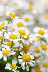 Similar image 1300744