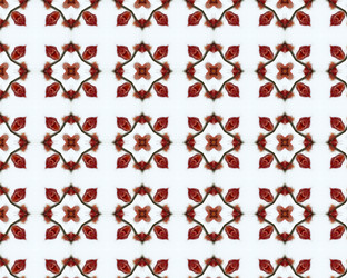 Similar image 1300816