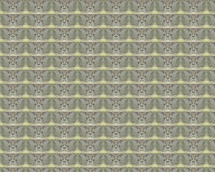 Similar image 1300863