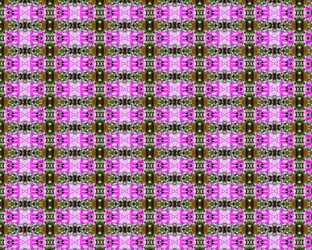 Similar image 1300911