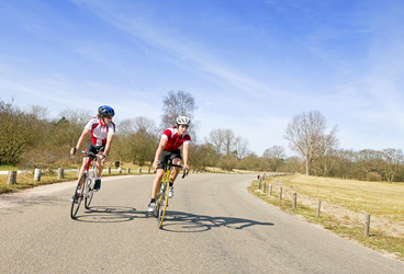 Similar image 1300938