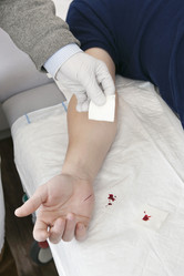 Similar image 1301007