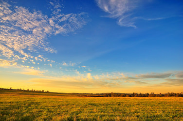 Similar image 1301077