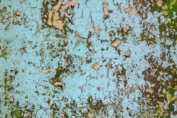 Фотография на тему Текстура потрескавшейся краски на бетонной стене |  PressFoto