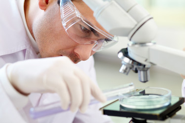 Similar image 1301098