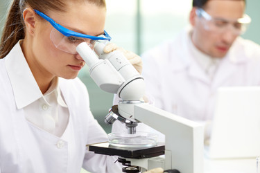 Similar image 1301126