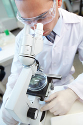 Similar image 1301127