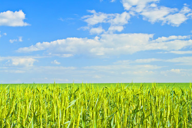 Similar image 1301149