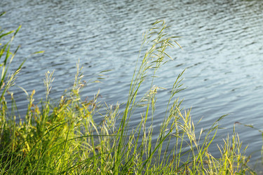 Similar image 1301150