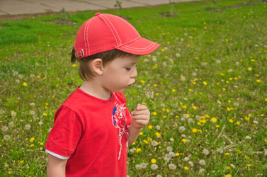 Similar image 1301174