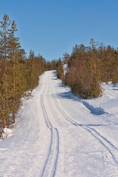 Similar image 1301274