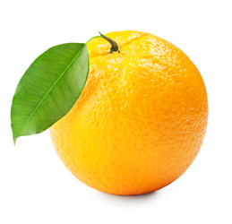 Similar image 1301296