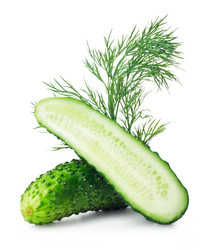 Similar image 1301306