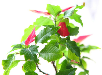 Similar image 1301351