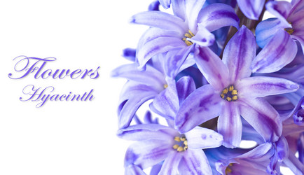 Similar image 1301391