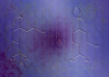 Similar image 1301442