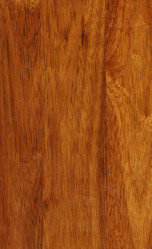 Similar image 1301601