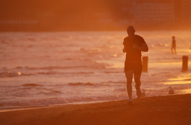 Similar image 1301667