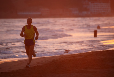 Similar image 1301669