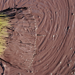 Similar image 1301824