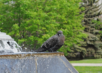 Similar image 1301923