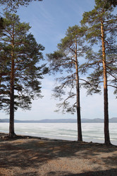 Similar image 1302117