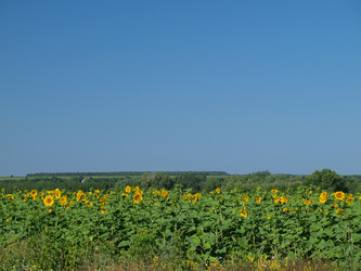 Similar image 1302163