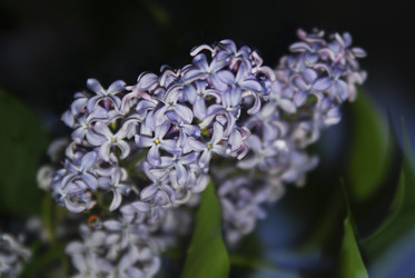 Similar image 1302165