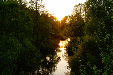 Similar image 1302166