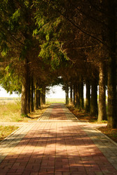 Similar image 1302168