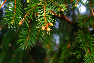 Similar image 1302169