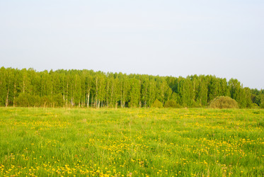 Similar image 1302170