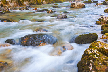 Similar image 1302241