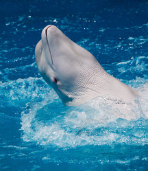 Similar image 1302365