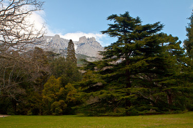 Similar image 1302424