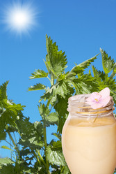 Similar image 1302502