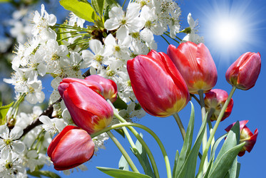 Similar image 1302504